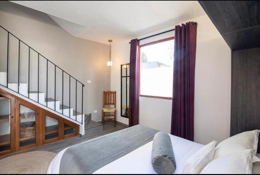 Siete Puertas Coyoacan مدينة مكسيكو الغرفة الصورة